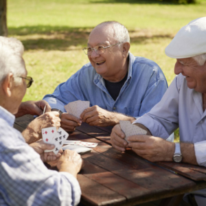 Men Playing Cards in the Park